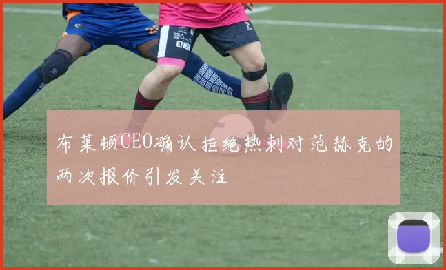 布莱顿CEO确认拒绝热刺对范赫克的两次报价引发关注
